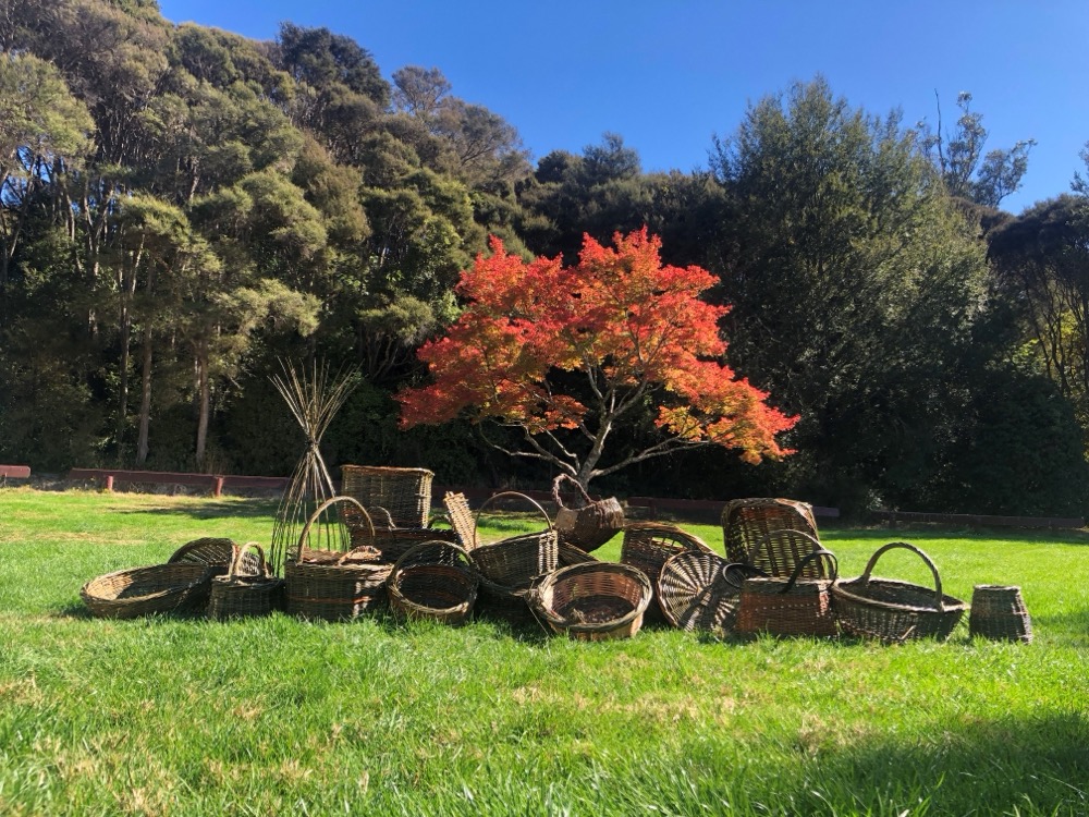 End of season and preparing for harvest cover image