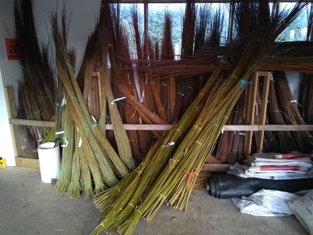 Our store of willow rods after harvest in July 2020.