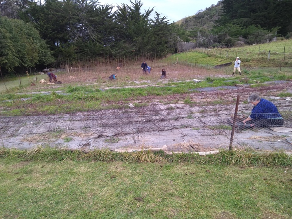 Last Weeding Day Before Harvest cover image