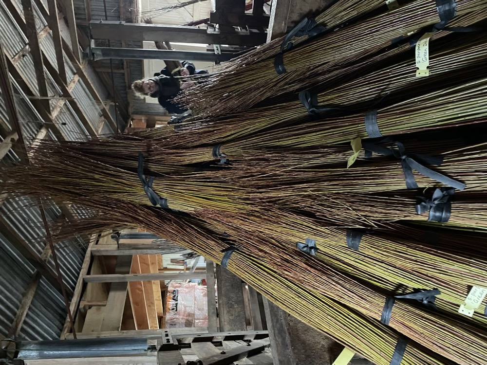 The willow safely stored in the old shearing shed.